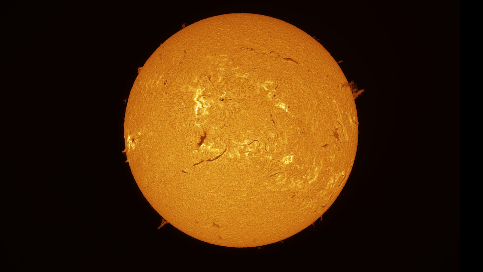 Disco solar completo fotografiado en la línea Hα, mostrando filamentos oscuros, regiones brillantes y protuberancias en el limbo.